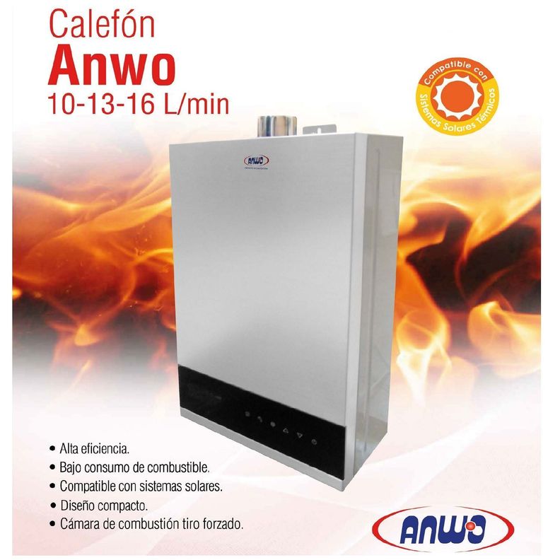 Calefon Tiro Forzado Anwo 10 Litros Gas Licuado-3