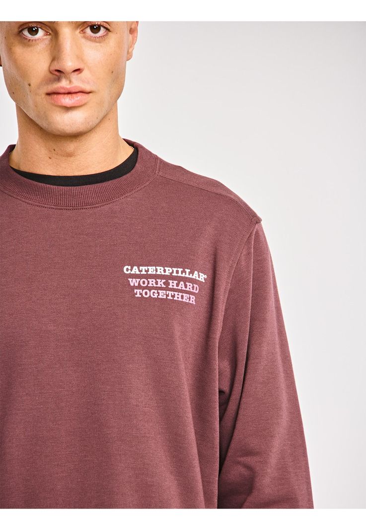 Polerón Hombre Graphic French Terry Crewneck Burdeo-3