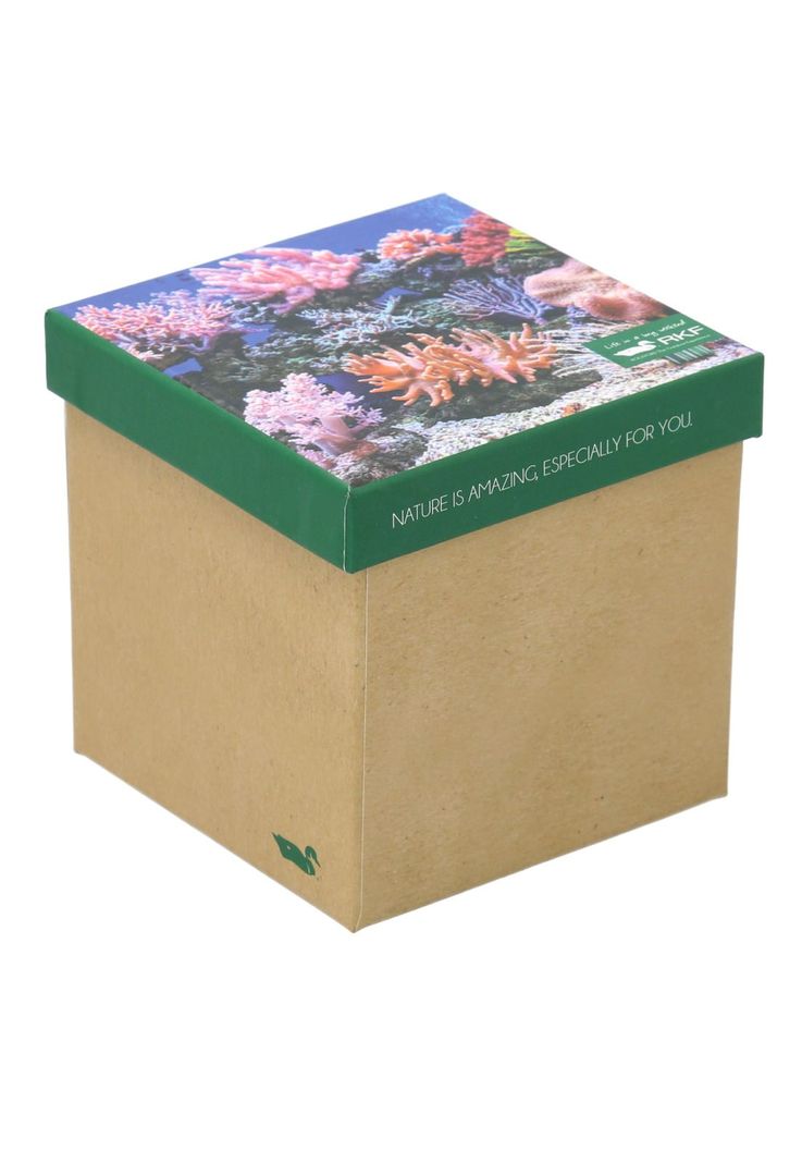 Pack 3 Calcetines Beige Gift Cor Mujer-0