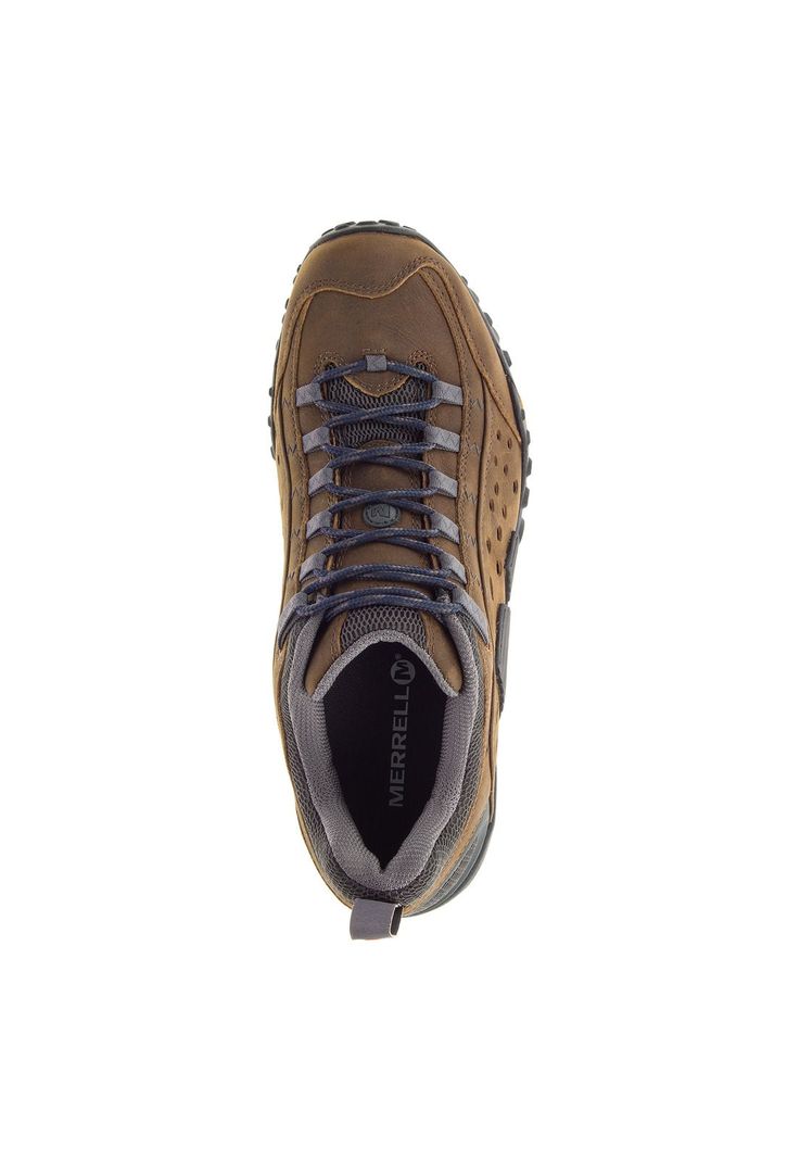 Zapatilla Hombre Intercept Café-5