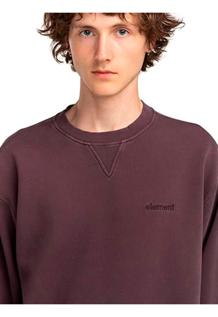 Polerón Hombre Cornell Pullover 3.0 Morado-4
