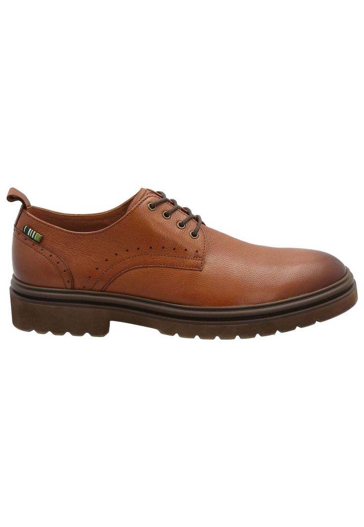 Zapato Cuero Hombre Alkun II Café-0