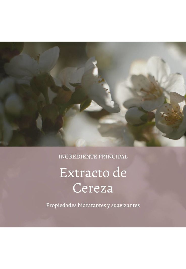 Leche De Cuerpo Flor De Cerezo 250 ml-1