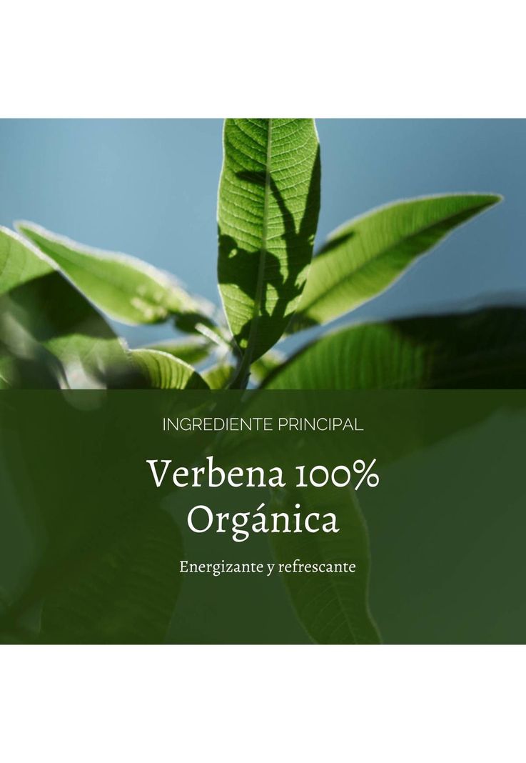 Perfume Unisex Verbena Citrus EDT 100 ml LOccitane-4