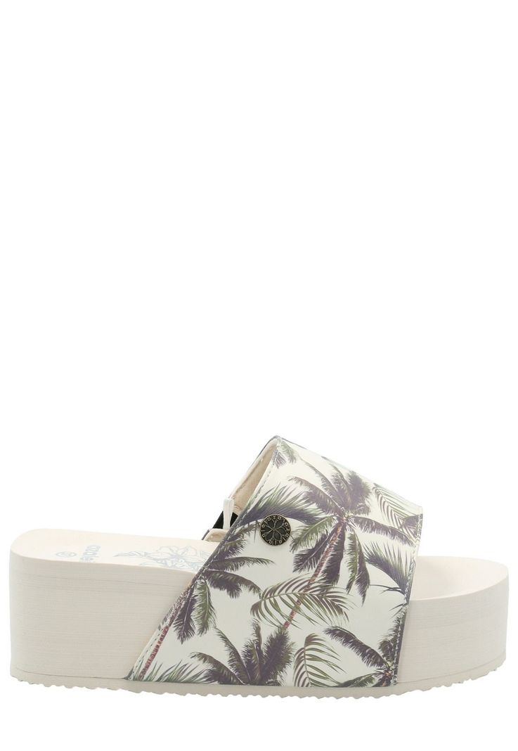 Hawaiana Mujer Dulce Ostra -1
