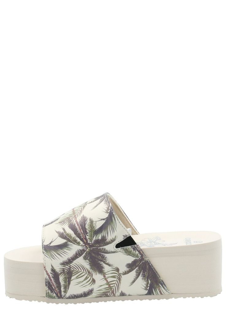 Hawaiana Mujer Dulce Ostra -5