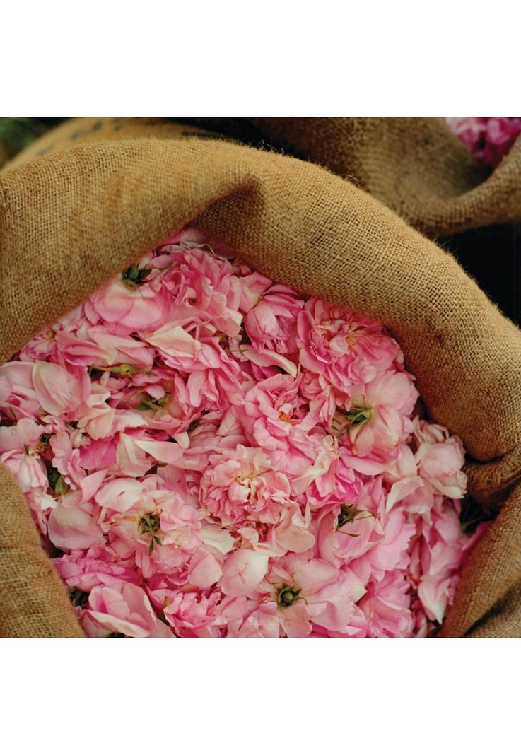 Crema De Manos Rosa 75 ml-2