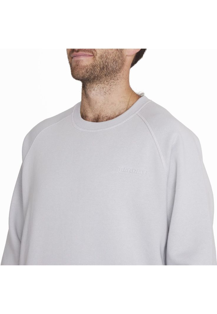 Polerón Sweatshirt Raglan Sl Gris Hombre-3