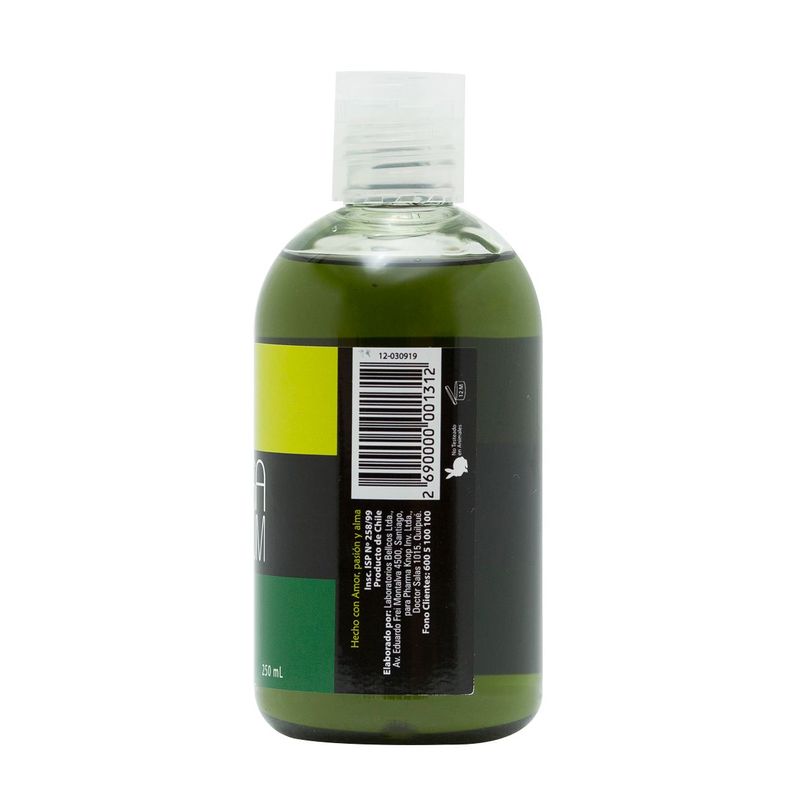 Twice Shampoo De Ortiga Equisetum 250 Ml Twice-1