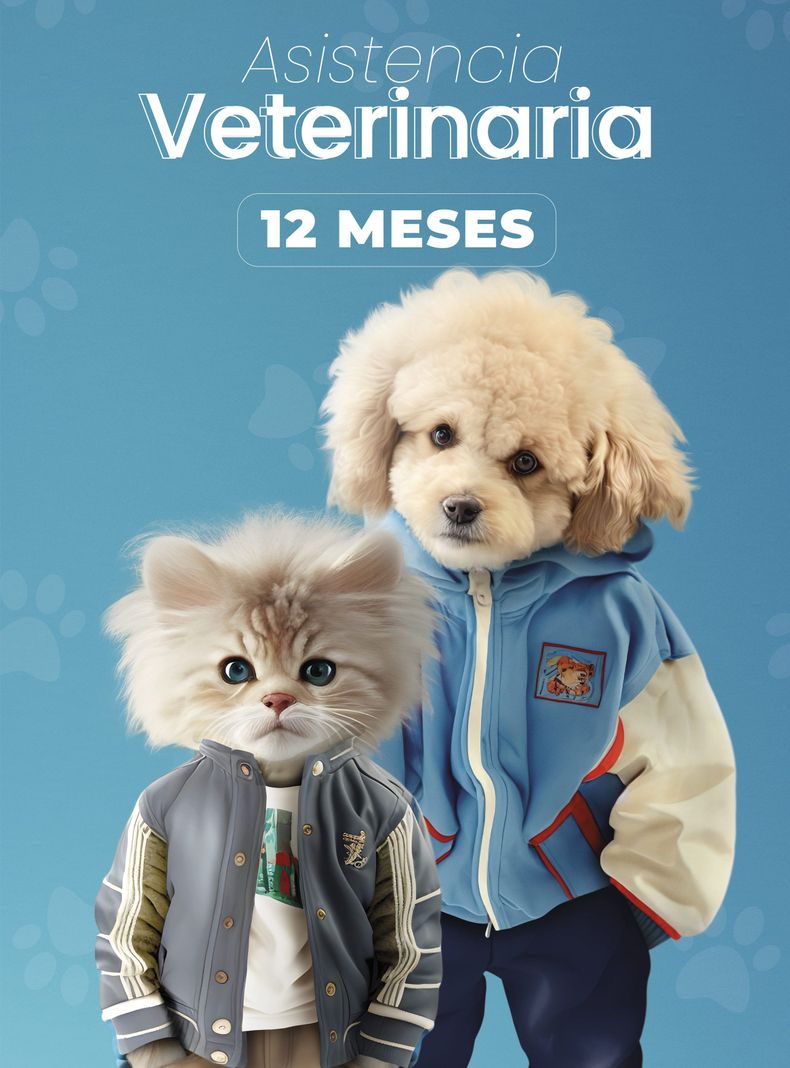 Plan Asistencia Mascotas 12 Meses-0