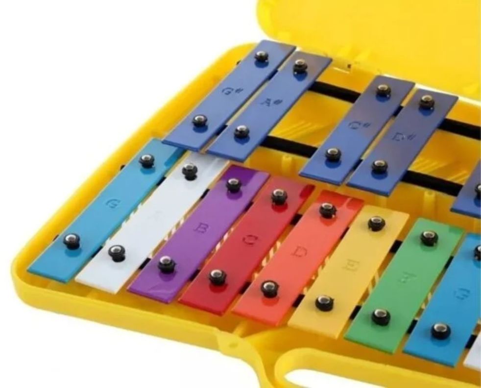 Metalófono 25 Notas Cromático Infantil -2