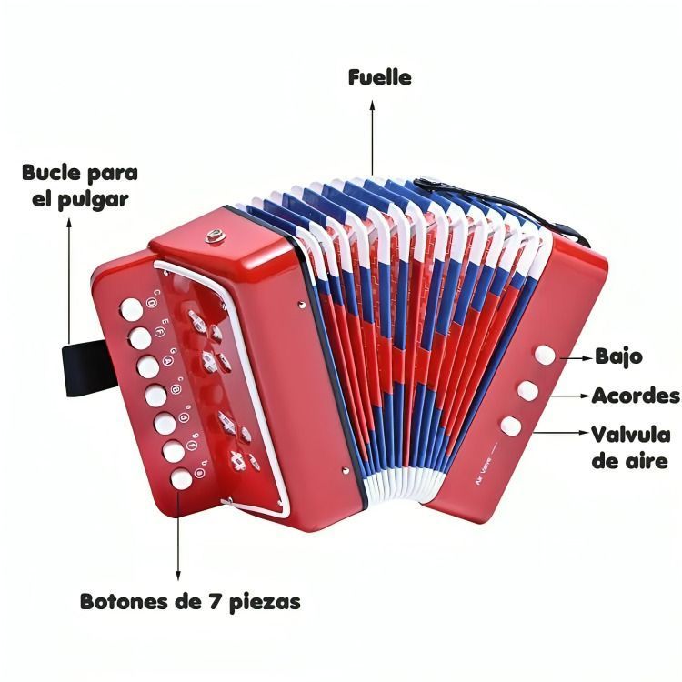 Mini Acordeón De Juguete Para Niños 7 Notas-3