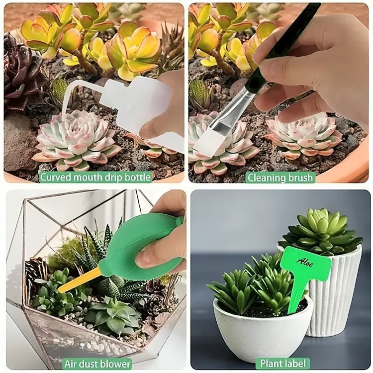 Kit Mini Herramientas Plantas Jardinería Suculentas 15piezas-2