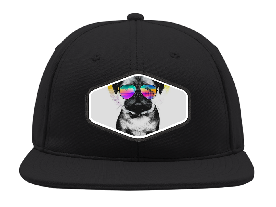 Snapback Gorro Bordado Perro Lentes-0