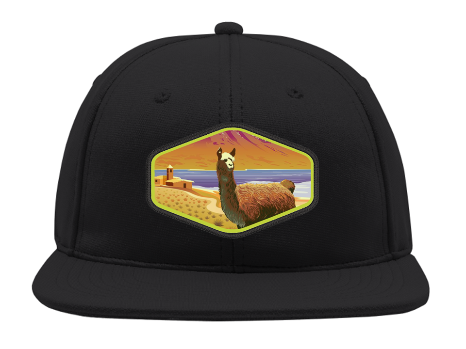 Snapback Gorro Bordado Paisaje de Atacama-0
