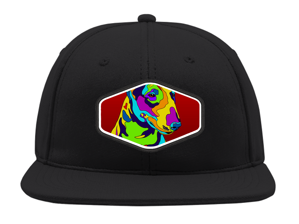 Snapback Gorro Bordado Perro Colores-0