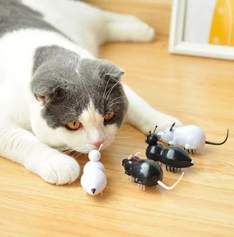 Ratón Robot Eléctrico Pila Incluida Juguete Mascota Gato-3