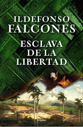 Libro Esclava De La Libertad - Ildefonso Falcones-0