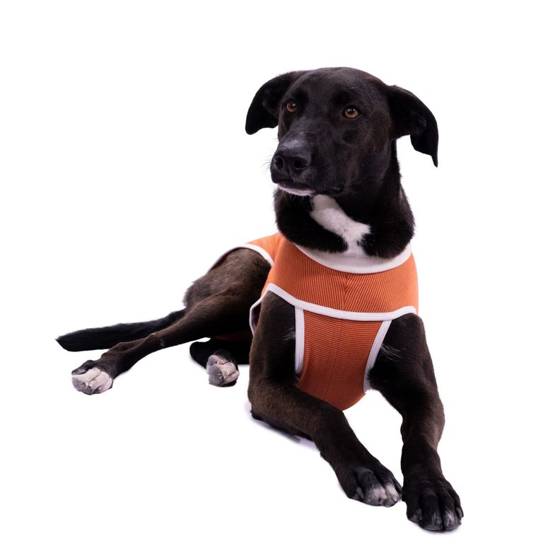 Body Cobre Kimba Tradicional - Talla 9 (21 - 25 kgs)-1