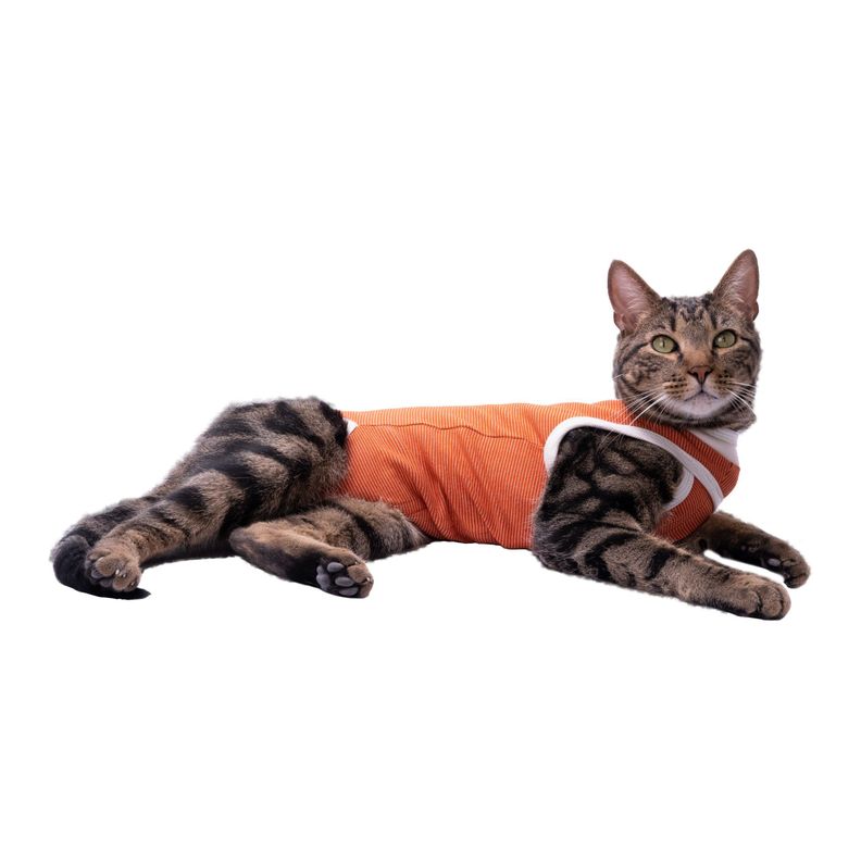 Body Cobre Kimba Tradicional - Talla 5-3