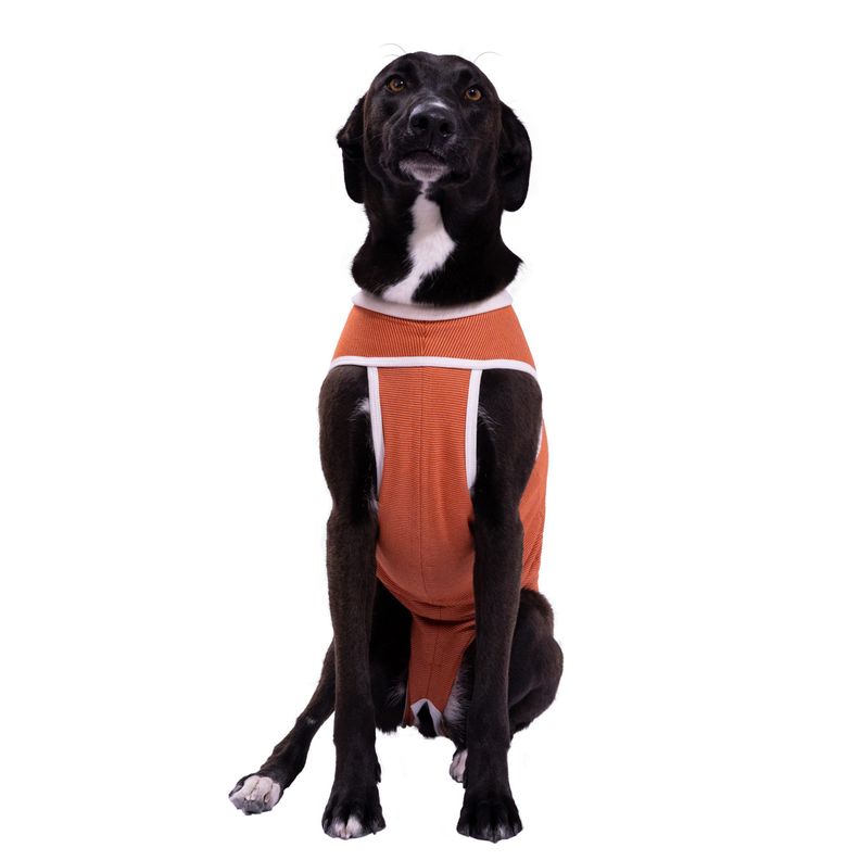 Body Cobre Kimba Tradicional - Talla 15-0