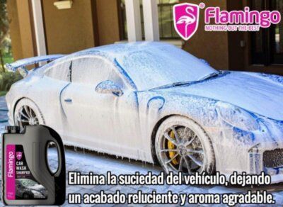 Shampoo Con Cera Concentrado De Auto 1 Litro Flamingochile-1