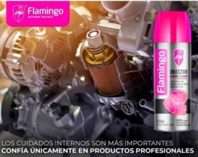 Limpia Inyectores 450ml Flamingochile-1