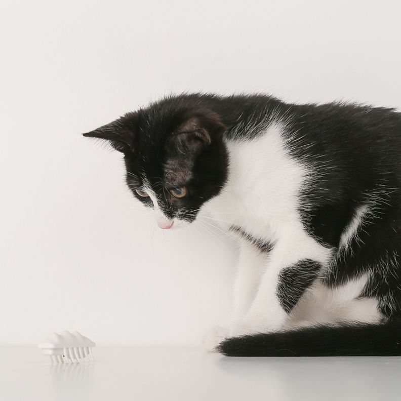 Pidan - Juguete para Gatos Electrónico Pequeño Monstruo de Nieve-7