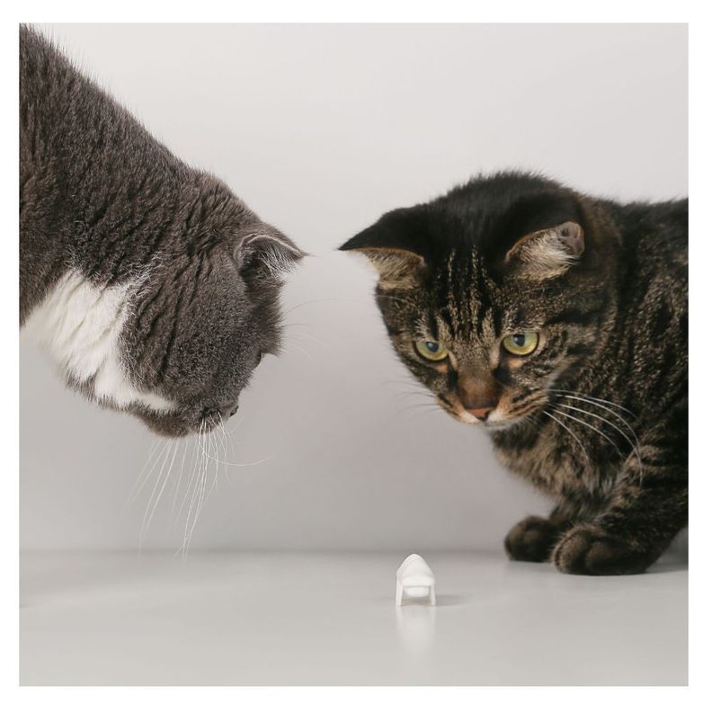 Pidan - Juguete para Gatos Electrónico Pequeño Monstruo de Nieve-5
