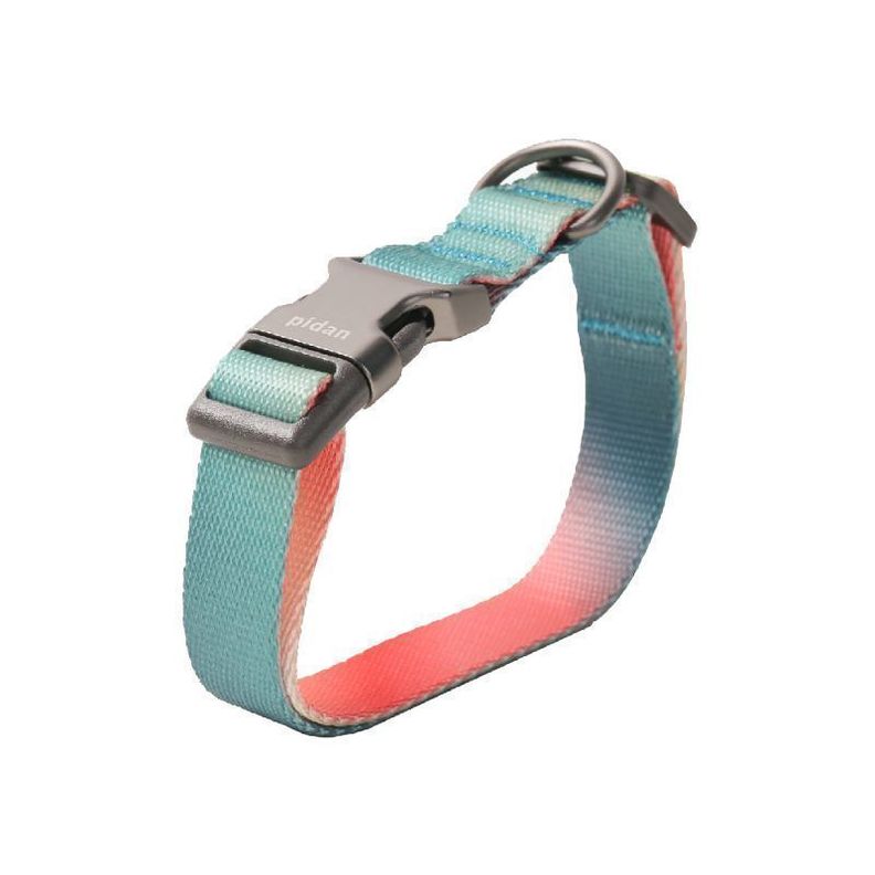 COLLAR PARA PERROS PIDAN® - A2 (Rosa y Verde)-0
