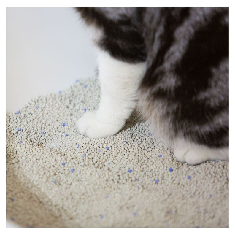 Pidan Arena para gato bentonita Libre de Polvo 6KG-5