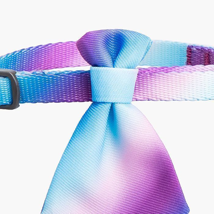 PIDAN® COLLAR -GATO - GRADIENTE AZUL-2