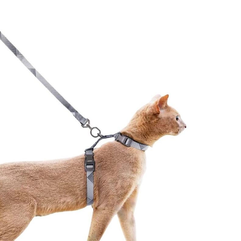 Pidan - Conjunto de Arnés y Correa para Gatos A1-6