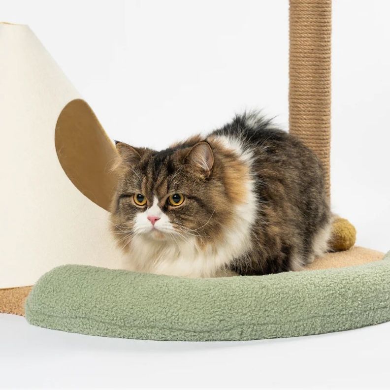Pidan - Cama y Rascador para Gatos - Isla Felina-6