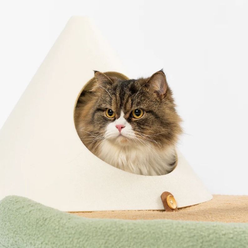 Pidan - Cama y Rascador para Gatos - Isla Felina-5