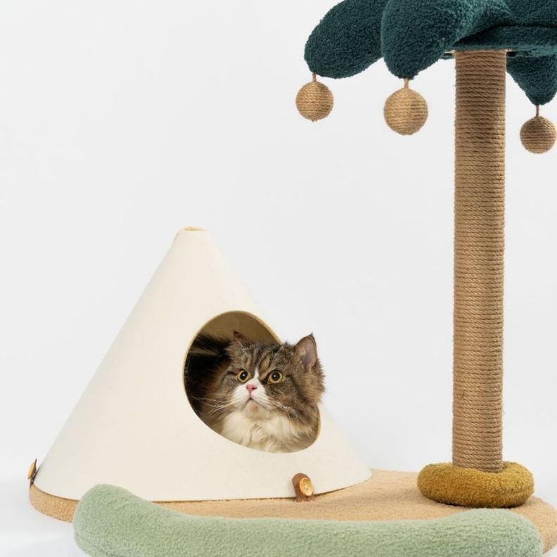 Pidan - Cama y Rascador para Gatos - Isla Felina-1