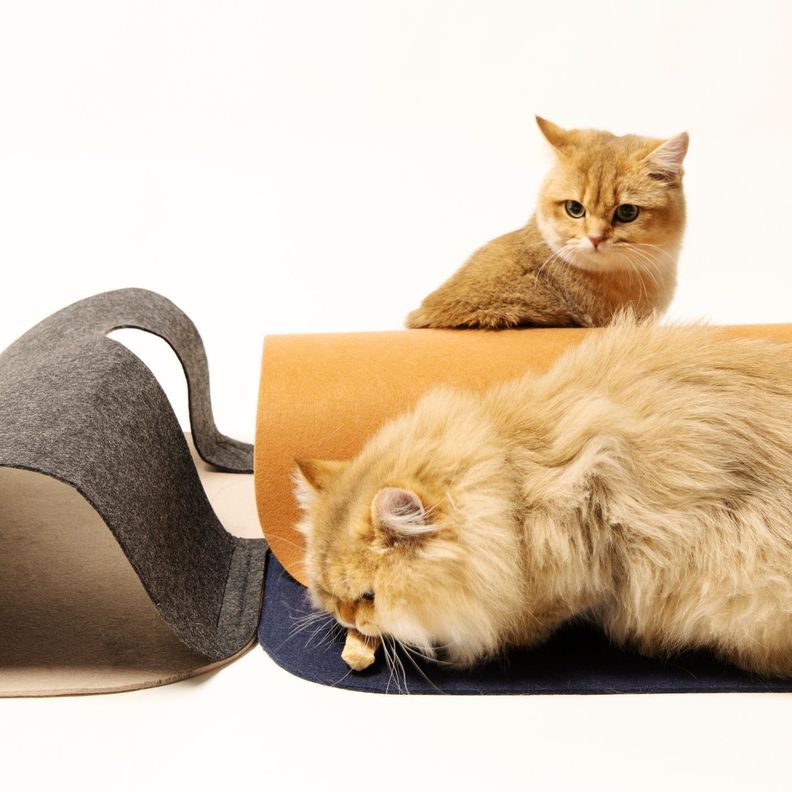 PIDAN®  SURFING TUNEL PARA GATOS- SET 2 PIEZAS-3