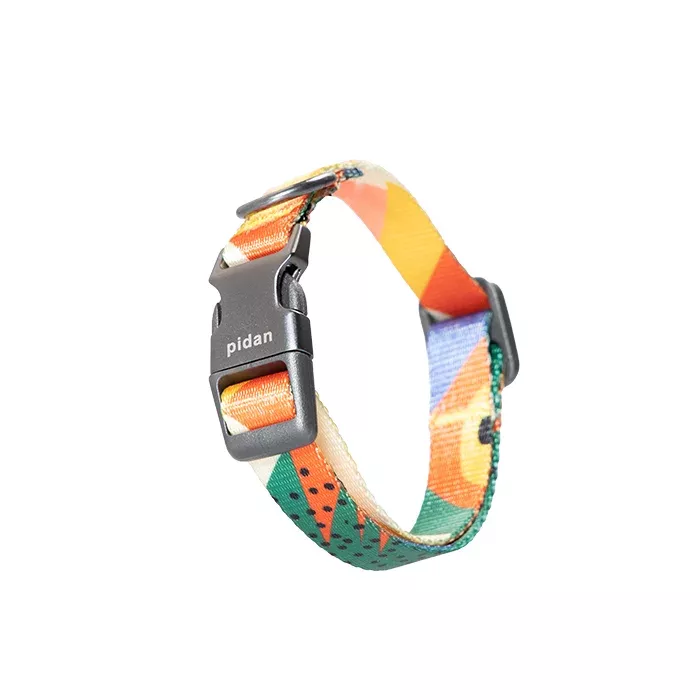 Pidan - Collar de Perro - S1-0