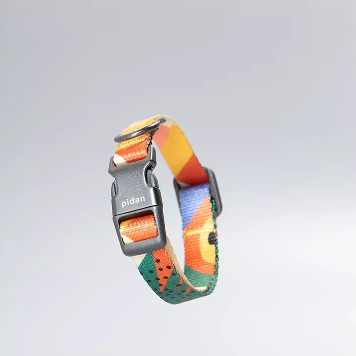 Pidan - Collar de Perro - S1-2