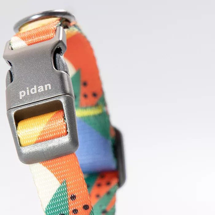 Pidan - Collar de Perro - S1-3