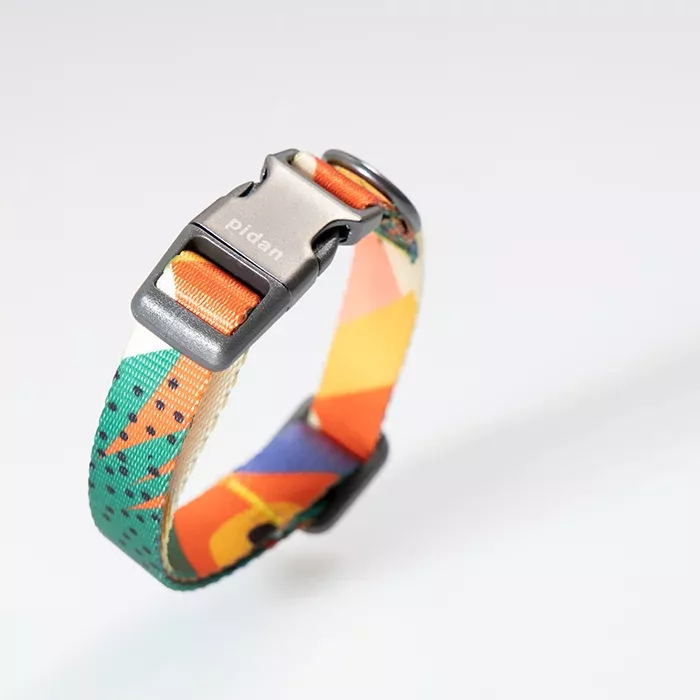 Pidan - Collar de Perro - S1-4