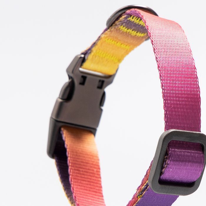 Pidan - Collar de Perro - S3-3