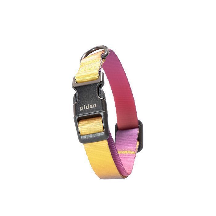 Pidan - Collar de Perro - S3-0