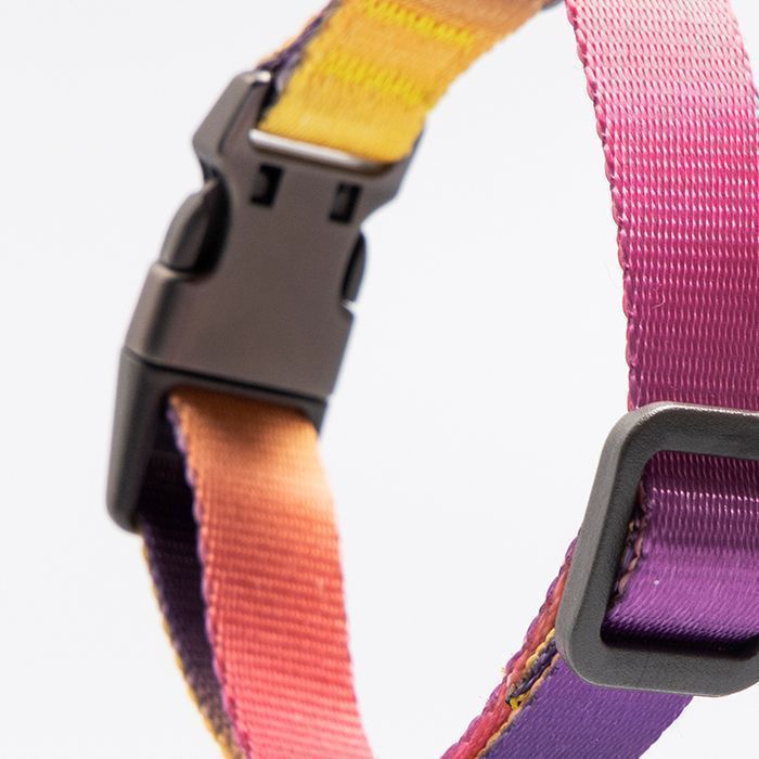 Pidan - Collar de Perro - S3-2