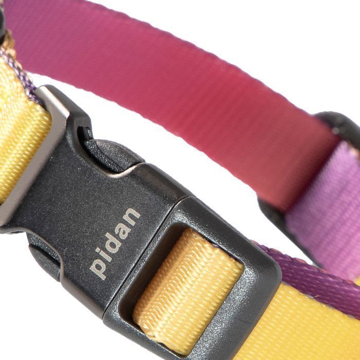 Pidan - Collar de Perro - S3-1