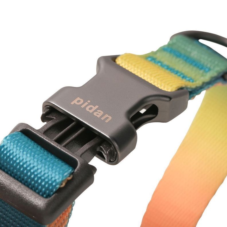 COLLAR PARA PERRO PIDAN® - A1 (AZUL Y VERDE)-1