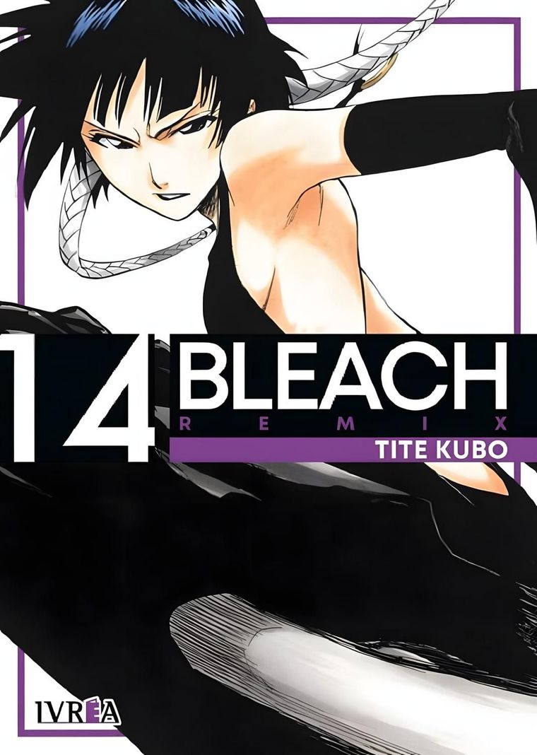 Manga Bleach Remix 14