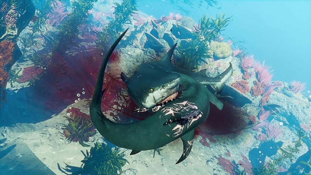 Man Eater Ps4 Juego Fisico-1