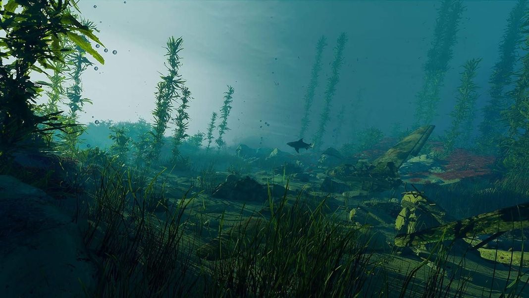 Man Eater Ps4 Juego Fisico-2