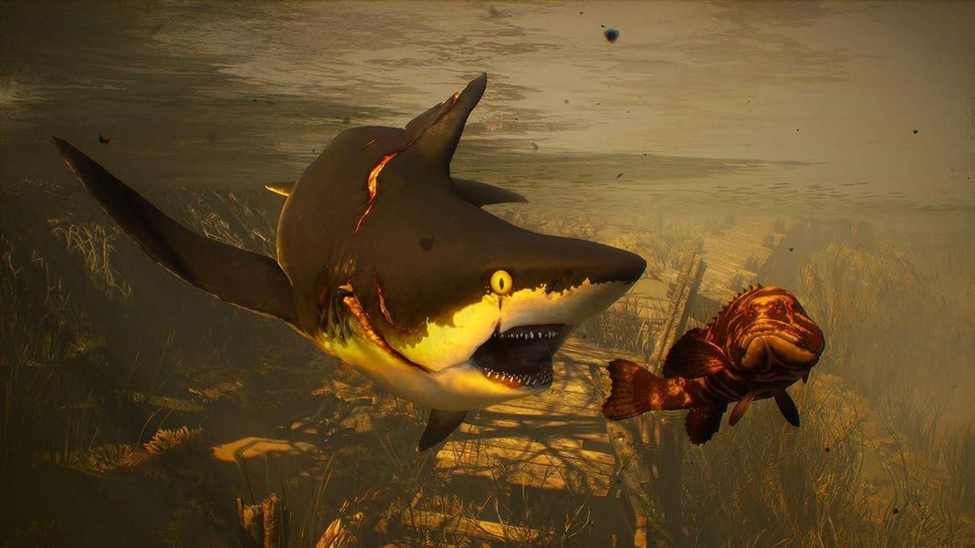 Man Eater Ps4 Juego Fisico-3